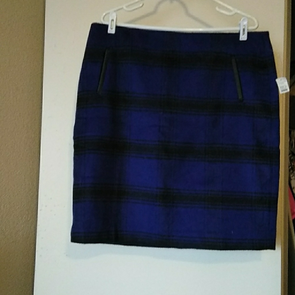 Talbot's Skirt
